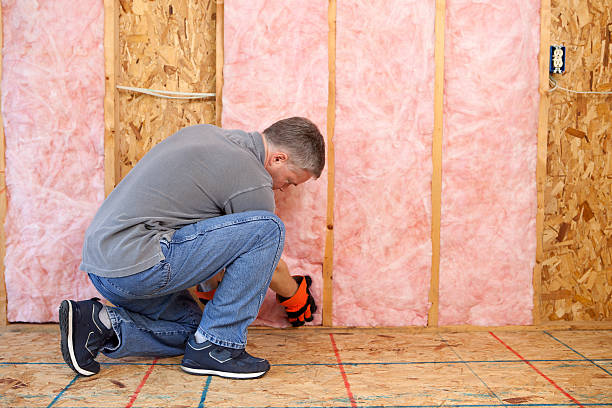 Insulation Replacement Services in Raymond, WA